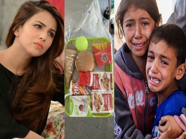 فلسطین کے بچوں کو “کھانے کی اشیاء والے کھلونے” دینے پر اُشنا شاہ بھڑک اُٹھیں